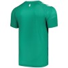 Goedkope Everton Special Shirt 2024-25